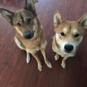 Meet your Posher, Andrew